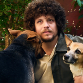 Chico Chico