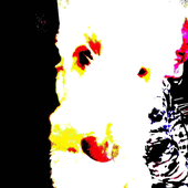 Avatar for av3ryz