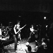 Ether Dogs on Stage