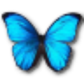 Avatar de littlebluewings