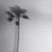 junkypalms için avatar