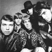 the electric prunes.jpg