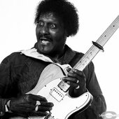 Albert Collins.jpg