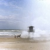 dois verões ou a viagem de sífero [Explicit]