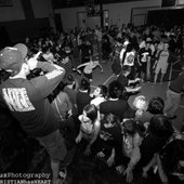Spin the Pit - Dynasty 