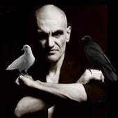 Simon Thaur