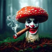 Avatar for wsgdaksh