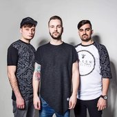 ZV 2017
