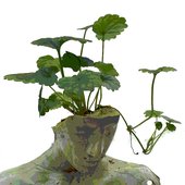 Emil Alzamora 256clr, cleaned white backgr.jpg