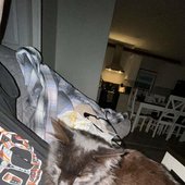 Her cat