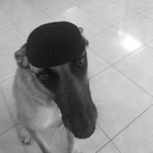 6801B7C8-9211-43D8-BBDC-193E17B8BA3E.jpeg