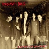industbag01.jpg