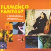 Flamenco Fantasy