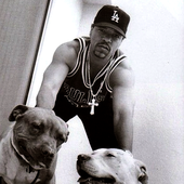 Ice-T