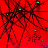 Disforia - EP