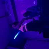 IMG_0911.jpeg