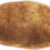 pot8o 1.jpg