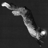 KILL THE GHOST (DELUXE)