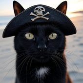 elgatodegatos 的头像