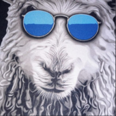 RappingSheep 的头像