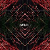 Taurids [Explicit]