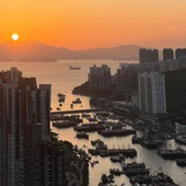 shzc 的头像