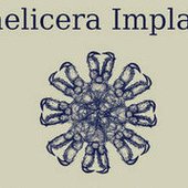 Chelicera Implant logo
