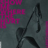 Show Me Where the Hurt Is: Songs
