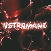 vstromane avatar picture