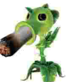 senhor_macaco 的头像