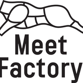 Awatar dla MeetFactory