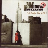 A Brooklyn Kind Of Life