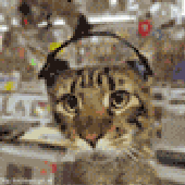 Avatar for vaknin