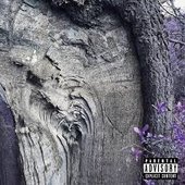 Tree Carvings - Single