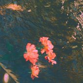 Cold - Single