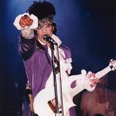 Prince - I Would Die 4 U