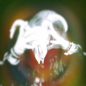 0019591675_10.jpg