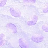 Football With Mitch (Acoustic Version)