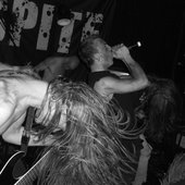Archaea_live