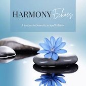 Harmony Echoes: A Journey to Serenity in Spa Wellness
