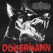 Dobermann - Single