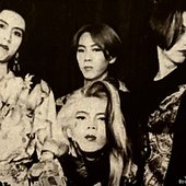 120207-the-harem-q-group-photo.jpg