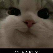 Avatar for actuallygaming