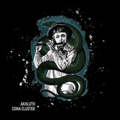 Coma Cluster