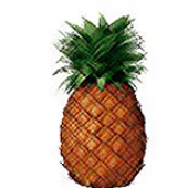 Avatar for FSVC