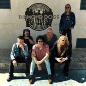 diamond dogs band