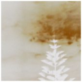 Turpentine