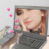 Avatar for Anne2701