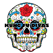 The Kung Fu Divas