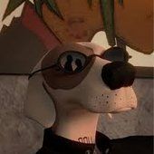 images.jpeg